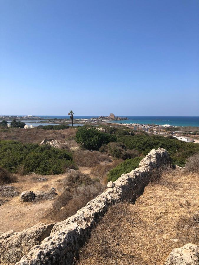Atlit Rooftop Glamping Εξωτερικό φωτογραφία